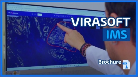 Image Management System (IMS) - VIRASIGHT